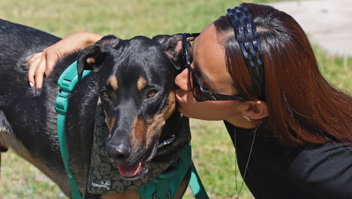Peco, el perrito al que le cambió la vida al ser adoptado en Puebla | Melanie Torres