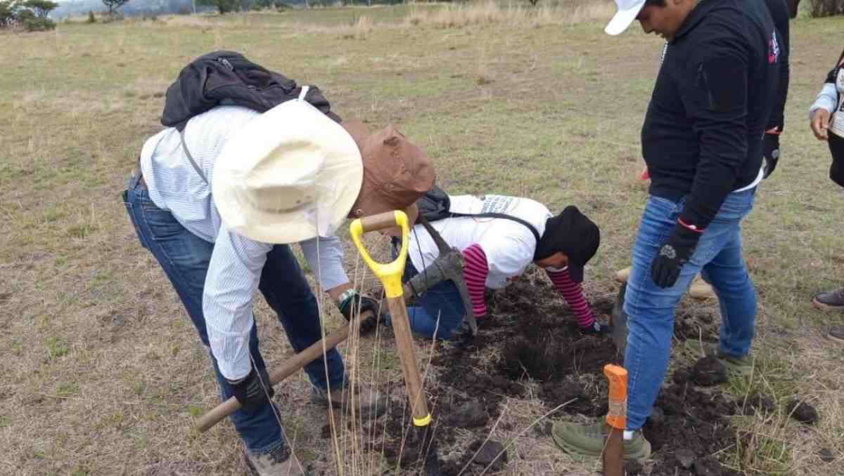 Más de 300 personas se sumaron a labores de búsqueda de desaparecidos en Tepotzotlán y municipios vecinos. Foto: Carlos Zaid