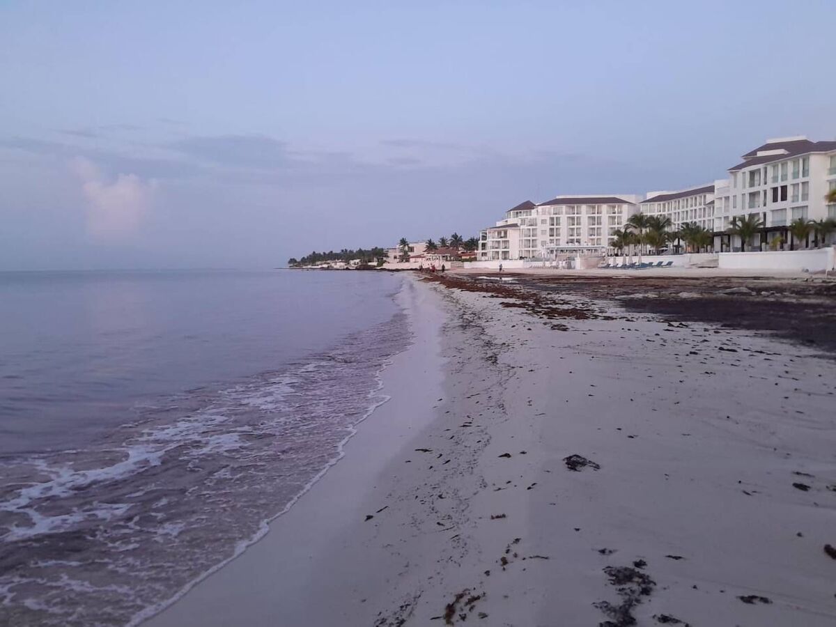 Cuadrillas municipales y personal de la Marina mantienen trabajos diarios en el litoral playense. | Foto: Especial