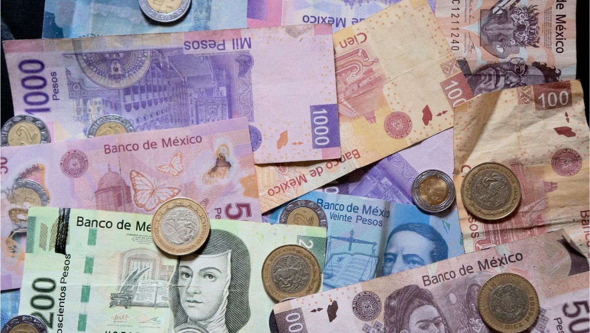 Datos públicos en 2025 refieren que aproximadamente 180 mil 870 empresas reportaron el pago de utilidades. | Foto: Pixabay