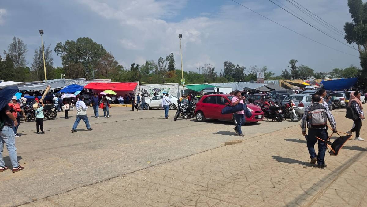 Los docentes se concentrarán 80 por ciento en Oaxaca y 20 en la capital. | Especial