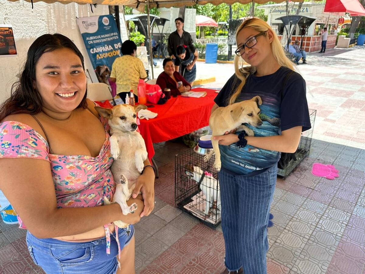 En Lerdo, perros rescatados encuentran hogar tras abandono o maltrato. | Luis Alatorre.