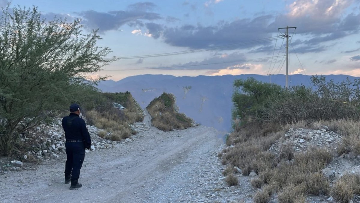 Localizan cuerpo devorado por fauna en Altepexi, Puebla | Especial