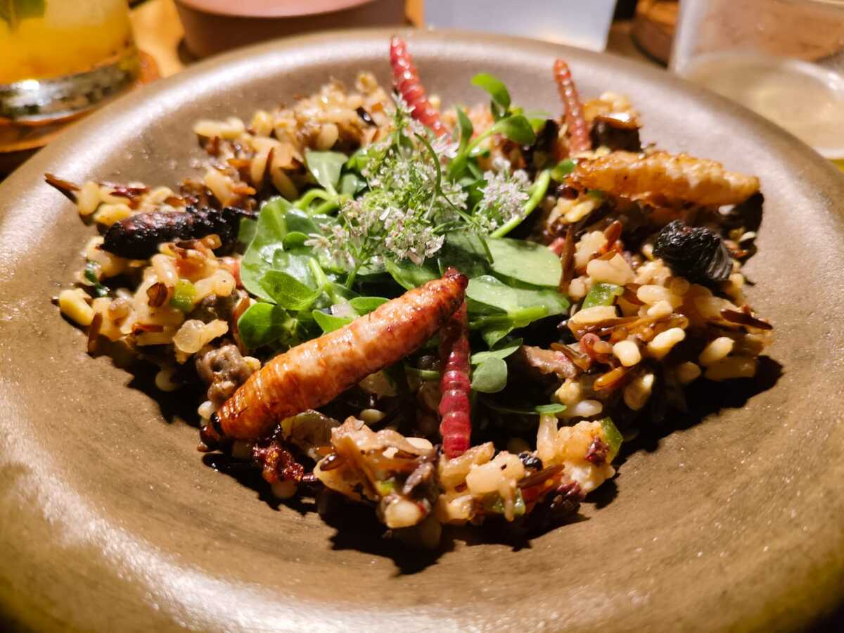 Arroz con bichos, un verdadero manjar con escamoles, gusanos, caracoles y chapulines / Adriana Jiménez