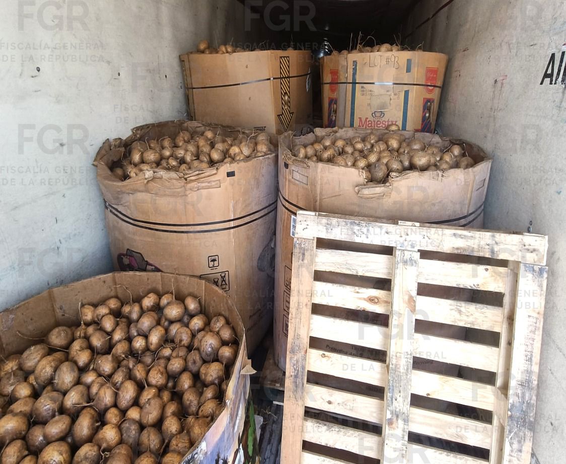 El camión transportaba casi 40 cajas de fruta como facahada.