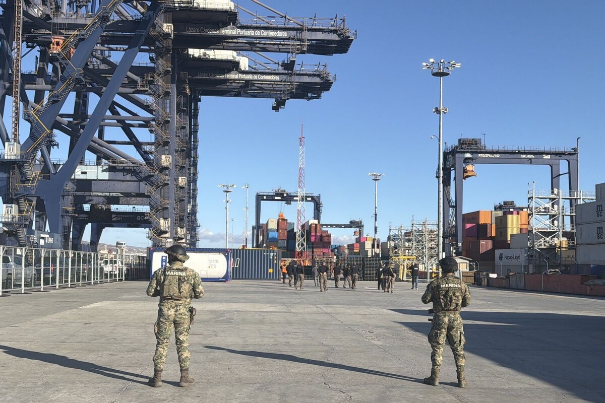 Operativo conjunto recupera cuatro vehículos robados en recinto portuario | Especial