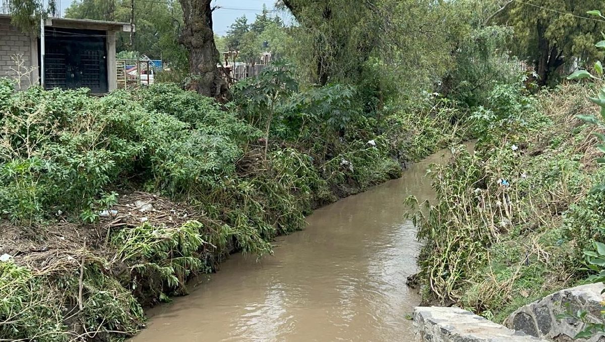 Retirarán cerca de 75 mil metros cúbicos del azolve en el río Papalotla. | Foto: Zuleyma García