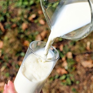 Leche entera ayuda a absorber mejor las vitaminas liposolubles | Pixabay