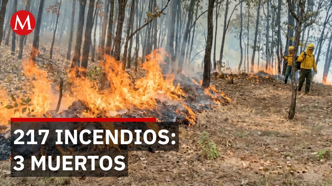 Tres personas murieron intentando salvar sus casas durante 217 incendios que devastaron el estado