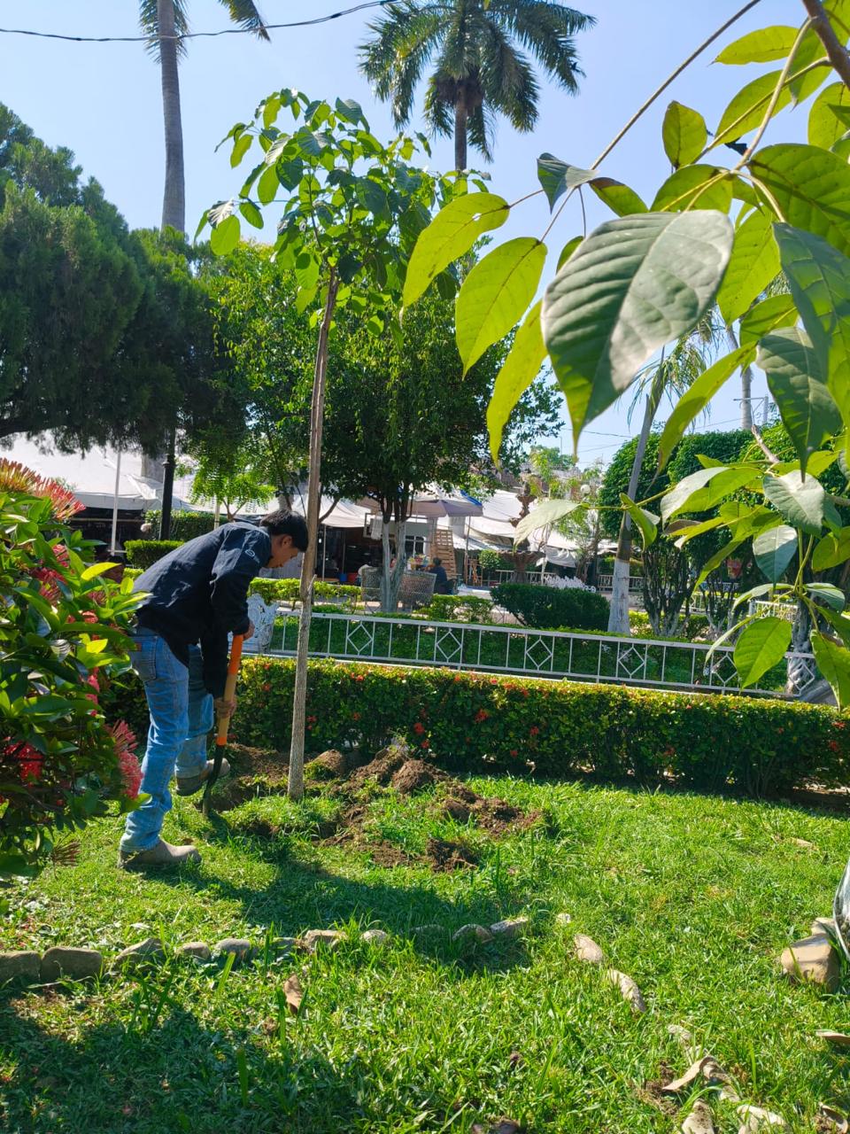 Remodelarán jardín principal de San Felipe Orizatlán. (Cortesía)