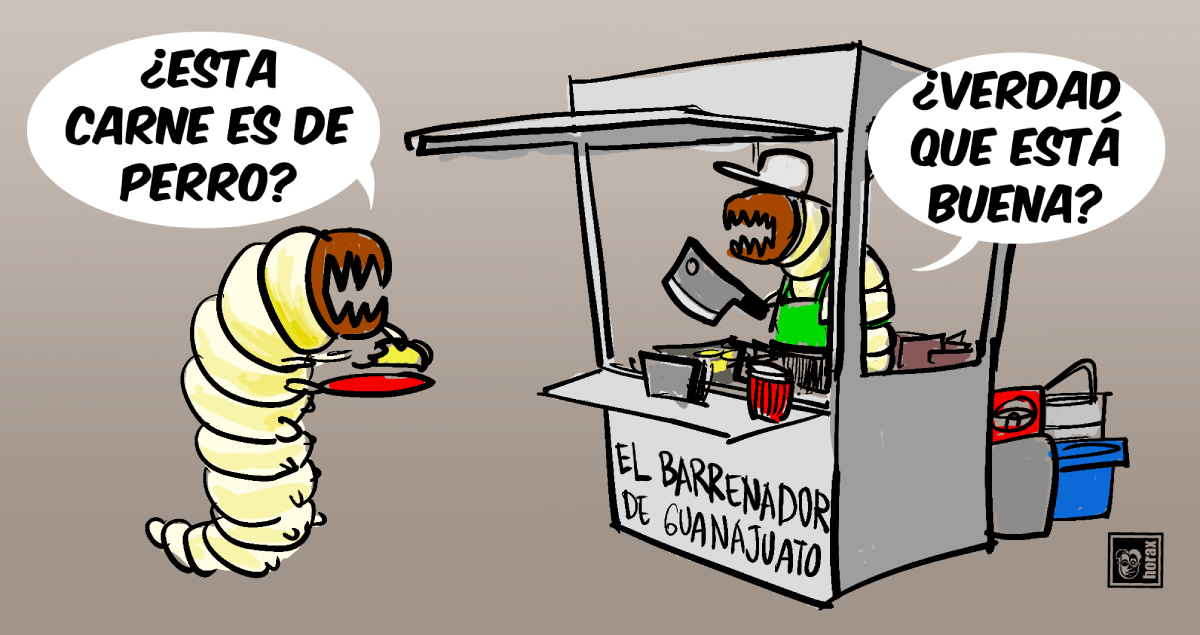 Horacio