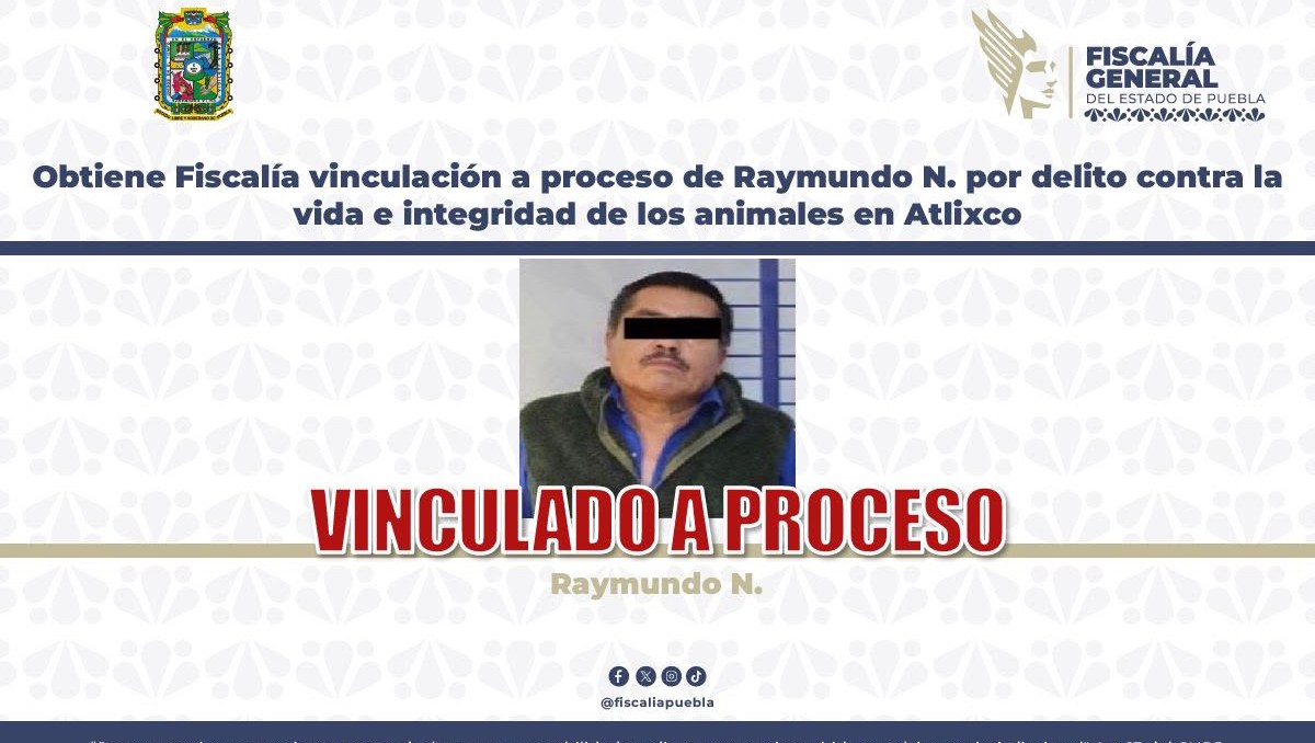 Juez ordena proceso penal contra presunto agresor de animal en Puebla | Especial