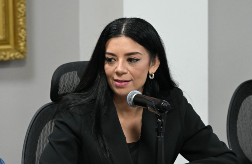 Karla Perales, diputada de Hidalgo. (Cortesía)