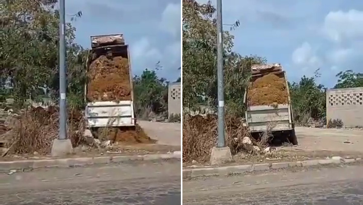 El camión fue captado mientras dejaba el sargazo en un lote de Playa del Carmen.| Foto: Especial