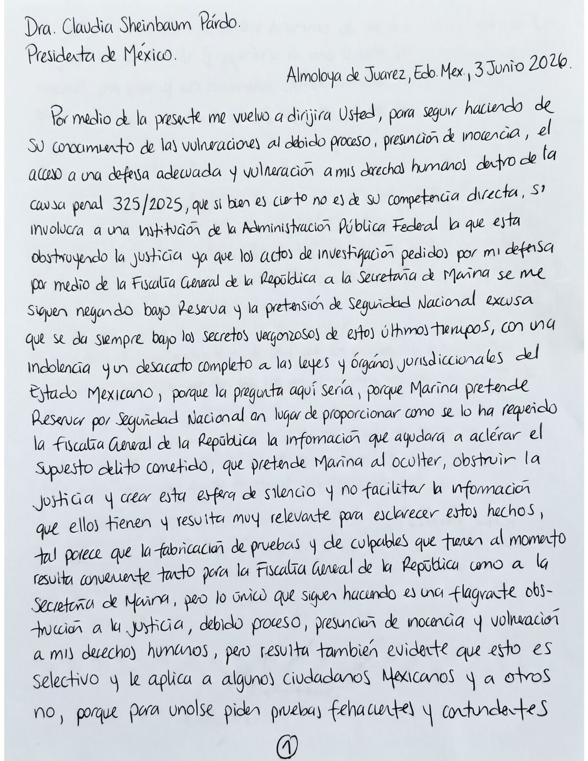 Avances asesinato Ximena y José