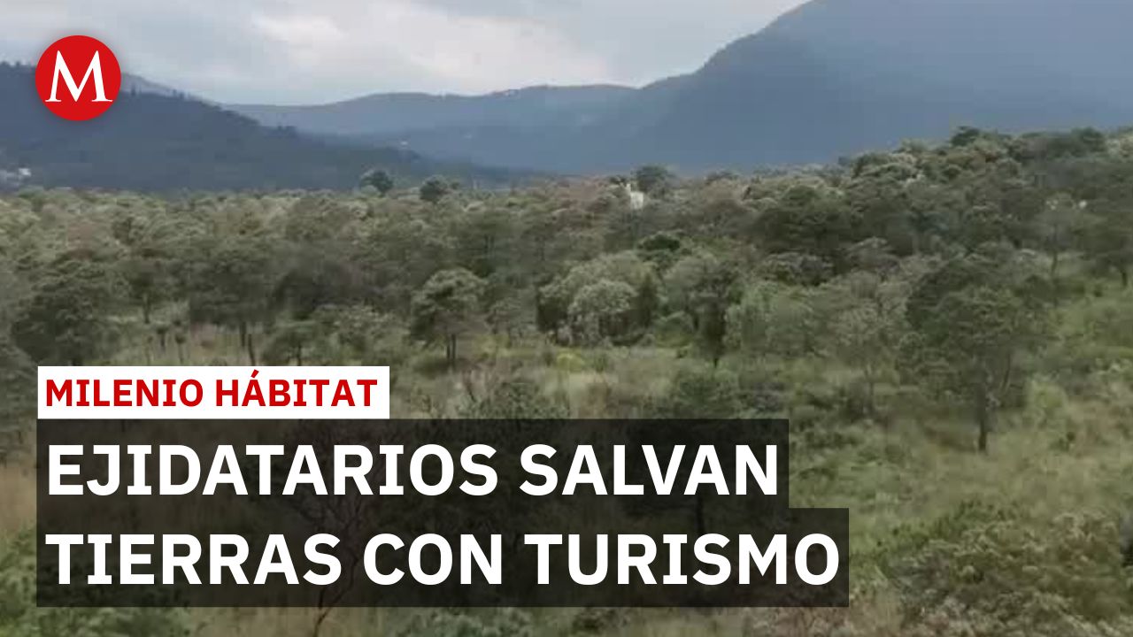 Ecoturismo en CdMx: ejidatarios luchan por sobrevivir en volcán Xitle | Milenio Hábitat