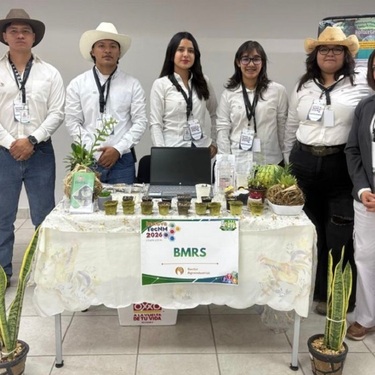 El proyecto consiste en un biopolímero elaborado con materiales que son biodegradables en el ambiente.