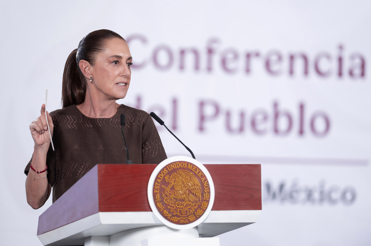 La Presidenta defendió la reforma judicial que modifica los comicios del 2025 para simplificarlos. | Foto: Presidencia