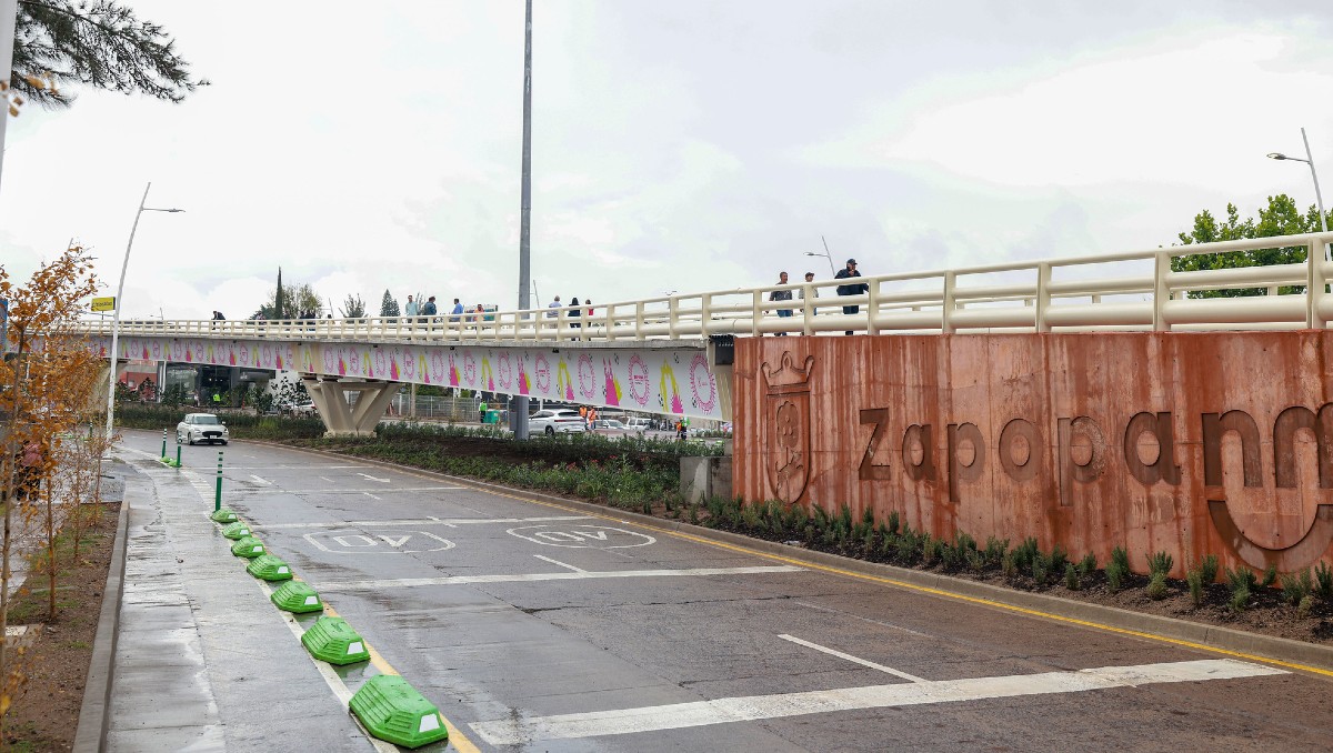 El proyecto del paso elevado de avenida Patria incluye también mejoras al entorno y una ciclovía (Cortesía)