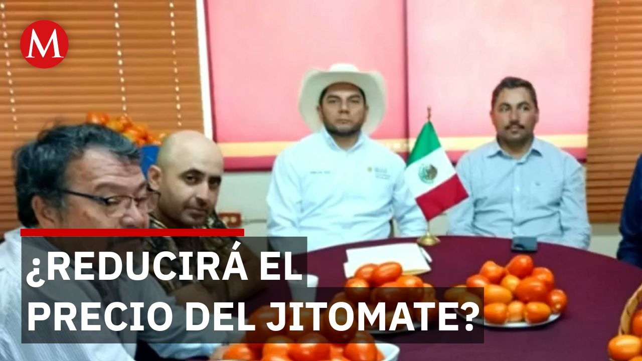 Acuerdo de Sheinbaum reduce precio del jitomate en centrales de abasto en próximas 2 semanas