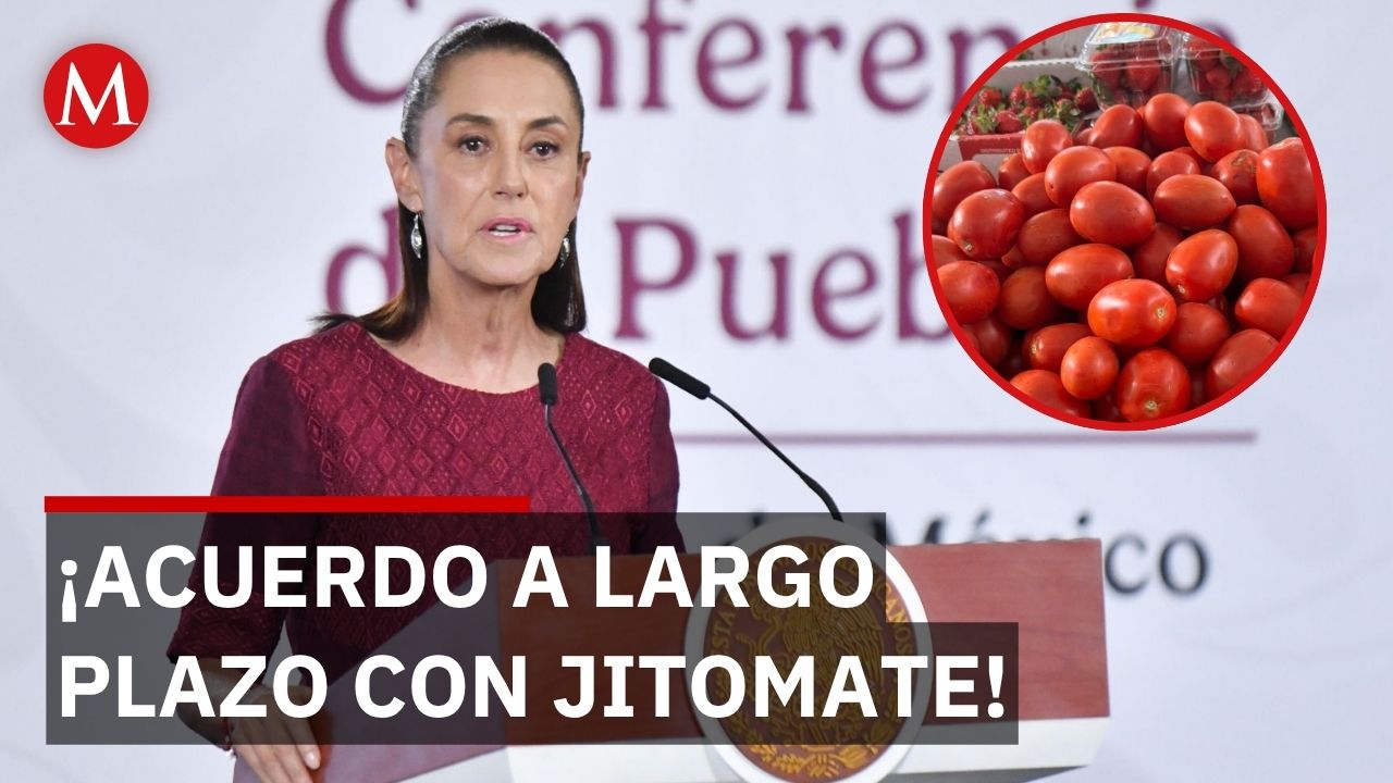 Sheinbaum revela el plan para proteger el precio del jitomate