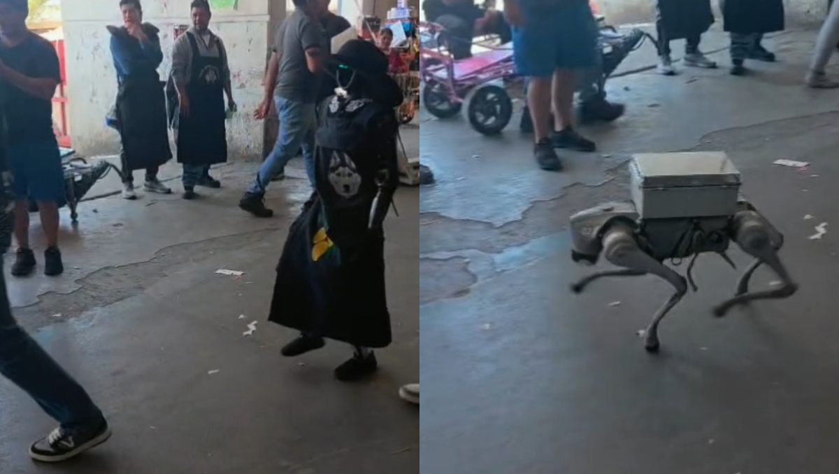 Los visitantes, comerciantes y diableros no dudaron en sacar sus teléfonos para grabar la escena. | Especial