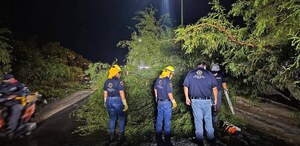 Lluvias causan daños en la región de Tehuacán