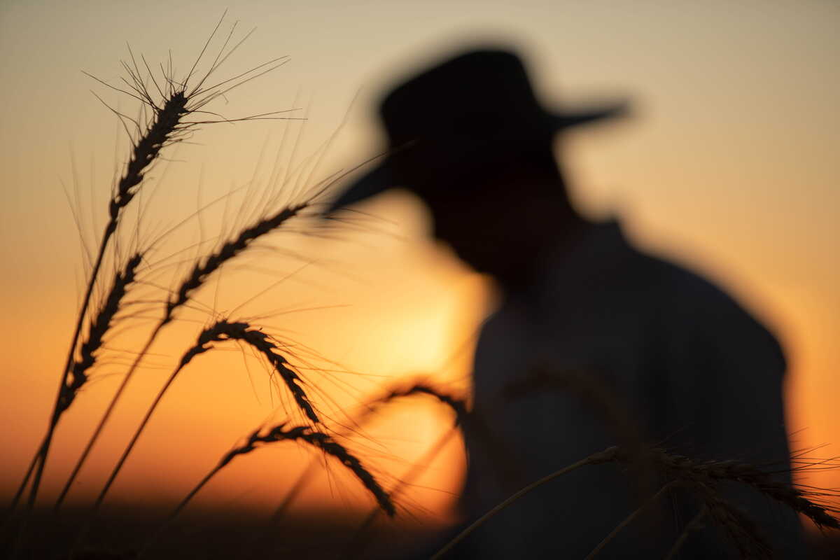 Productores participan en prácticas regenerativas. (Cortesía)