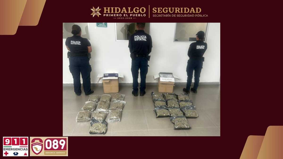 Operativo permitió el aseguramiento de más de 10 kilogramos de presunta mariguana. (Cortesía)