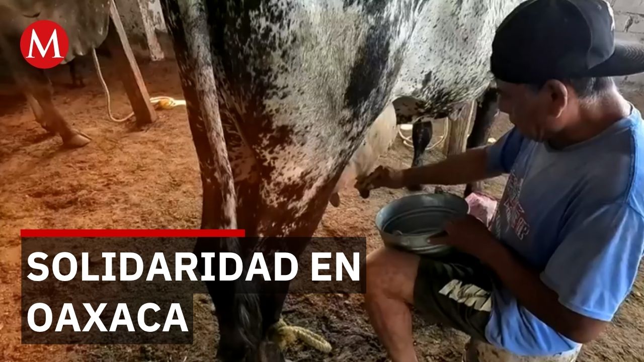 Solidaridad en Oaxaca: Mujer dona leche ante crisis económica