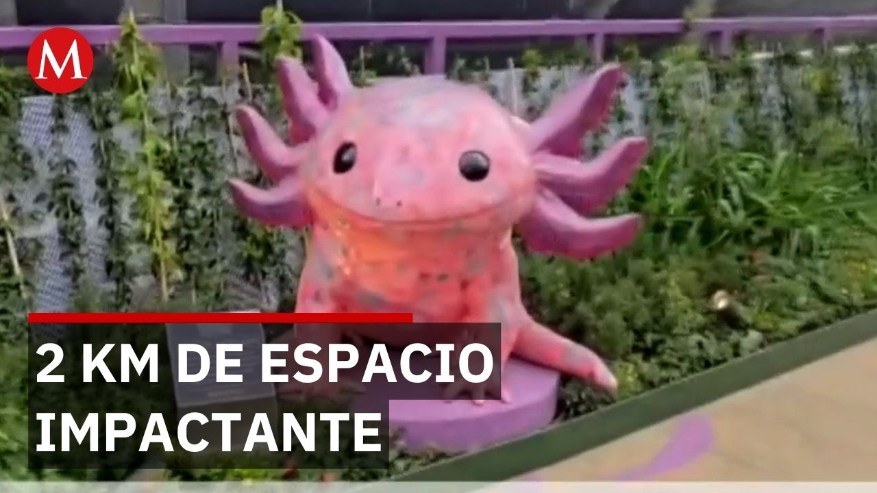 Clara Burgada inaugura jardín flotante Tlallipan que protege al metro de inundaciones