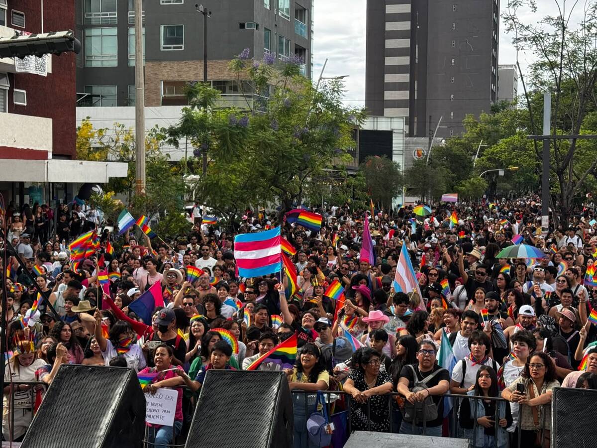 La marcha se desarrolló sin incidencias. (Usi Toledo)