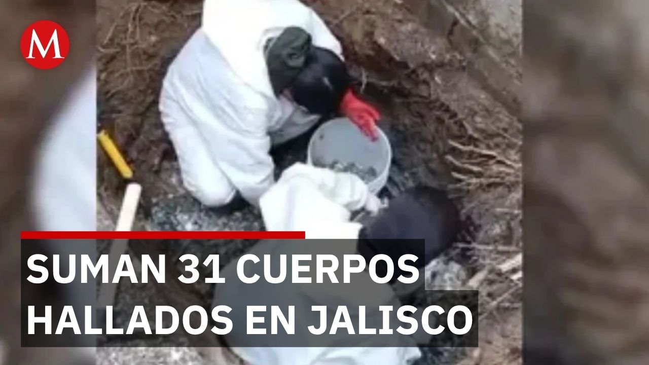 Encuentran 31 desaparecidos en Jalisco: colectivo continúa búsqueda ante inacción oficial