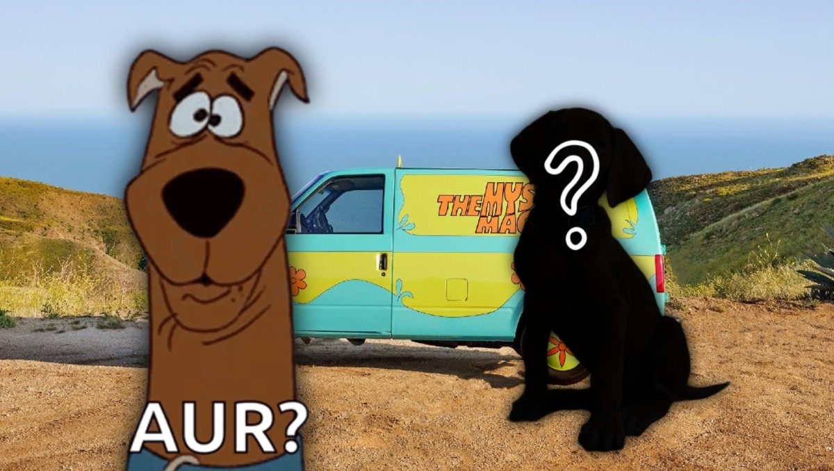 Presentan primer vistazo de Scooby Doo para serie live action de Netflix | Especial