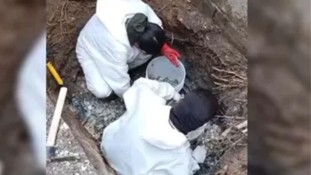 Suman 31 cuerpos hallados en Ixtlahuacán (Corazones Unidos GDL)