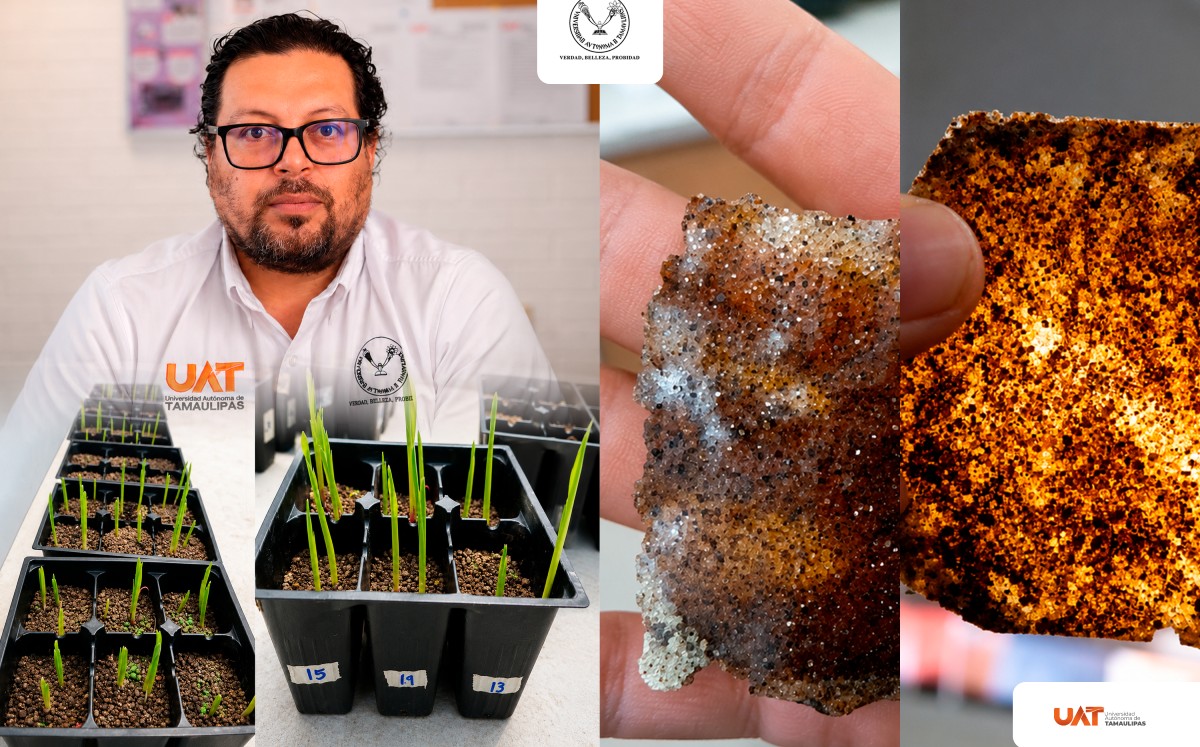 UAT apuesta por la ciencia para enfrentar la sequía en el campo. | Cortesía