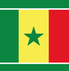 Imagen de la bandera de Senegal con el texto Selección Senegal 2026