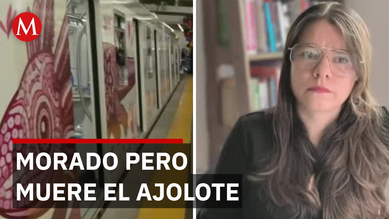 CDMX pinta la ciudad de morado por el ajolote pero destruye su hábitat natural
