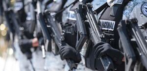 Es 2024 el año con mayor volumen de adquisiciones de armas.