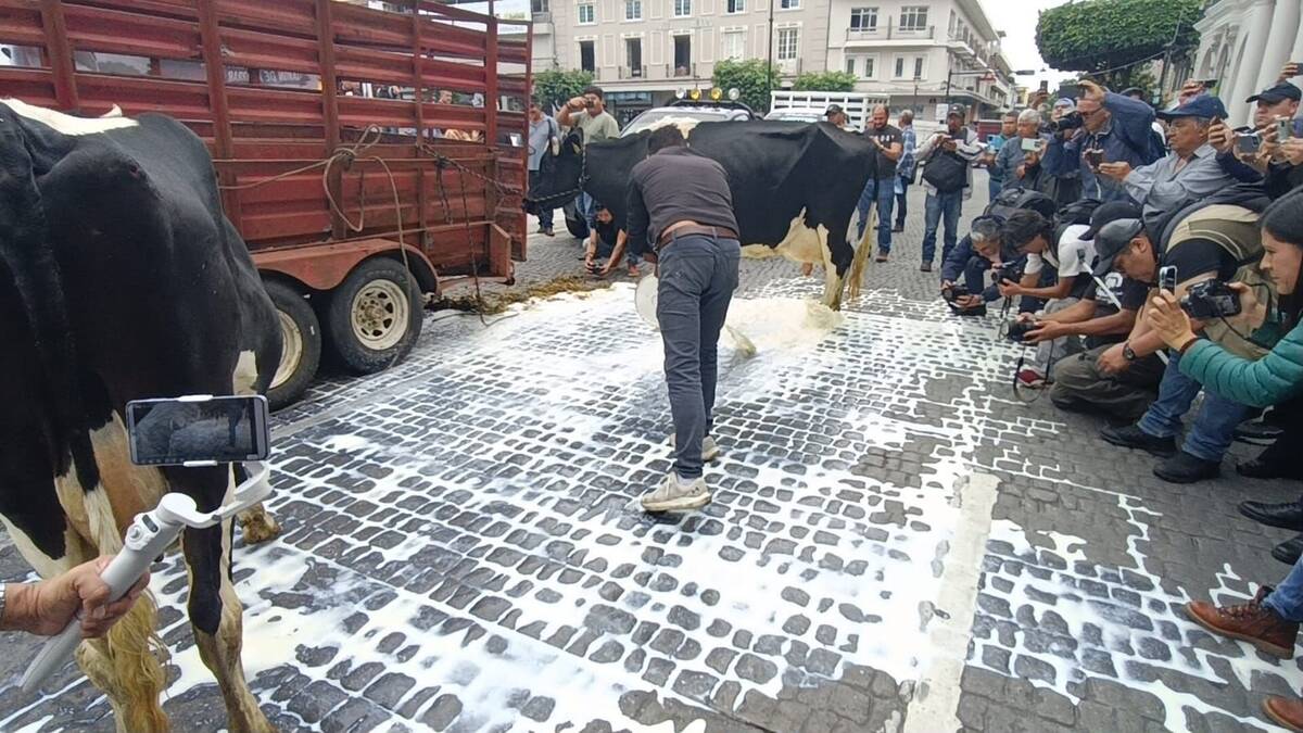 Los ganaderos tiraron parte de la leche, mientras que otros litros más fueron regalados a quienes se acercaban a pedir el producto. | Especial