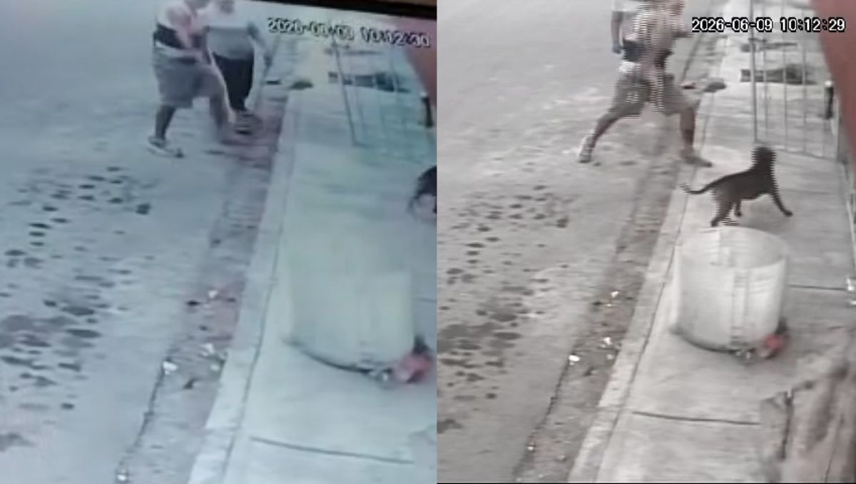 La agresión ocurrió a plena luz del día y quedó captada por cámaras de vigilancia | Especial