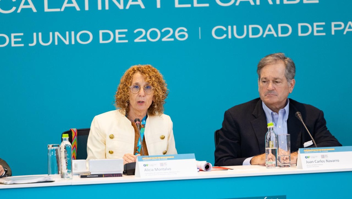 Alicia Montalvo, vicepresidenta de Cooperación, Alianzas y Movilización de Recursos de CAF. | Foto: Especial
