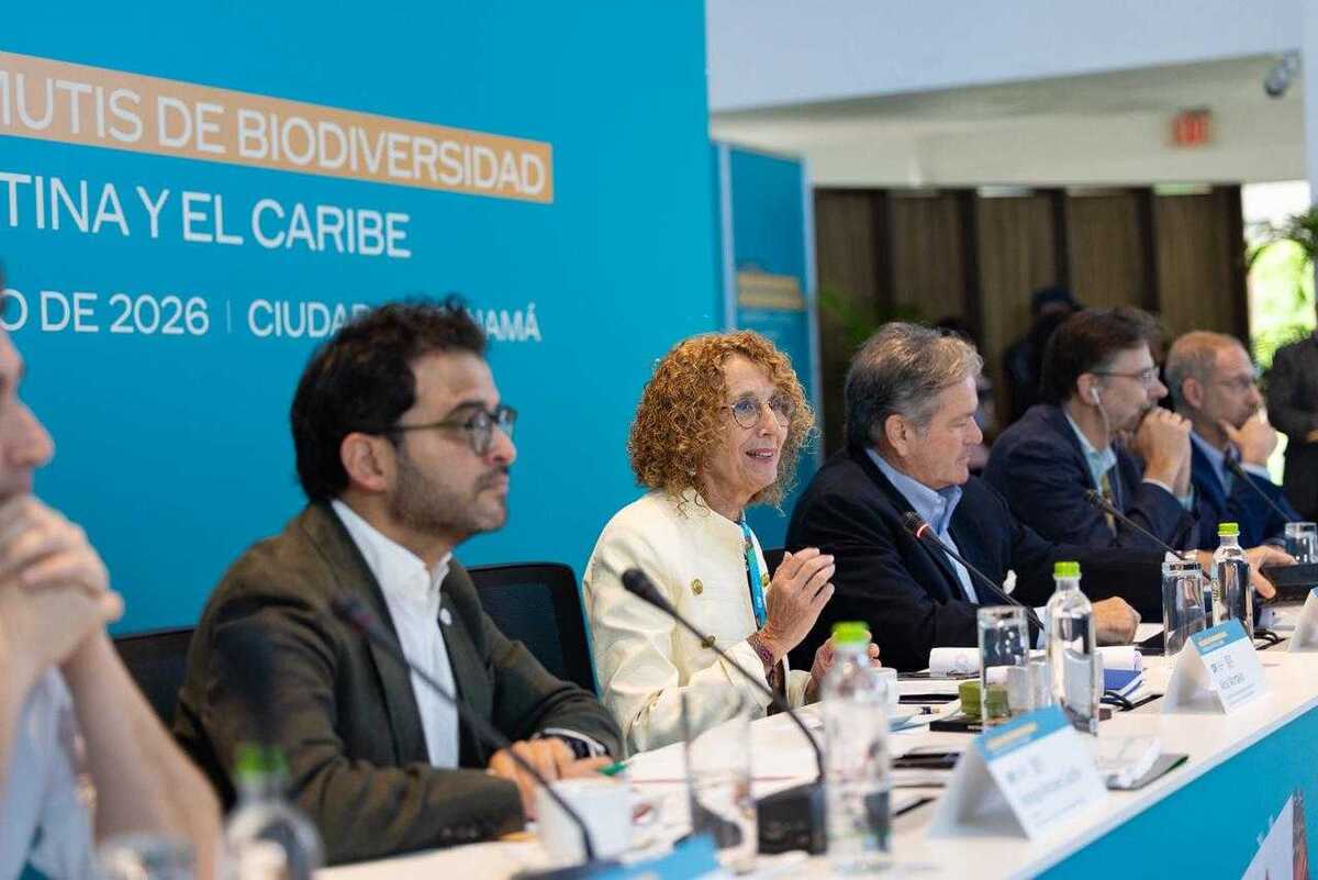 CAF ve en la inteligencia artificial y centros de datos una nueva frontera de inversión para América Latina