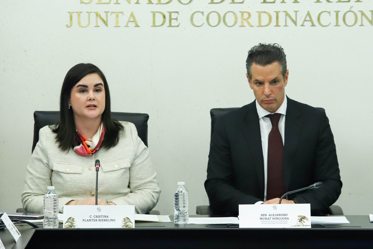La Comisión de Relaciones Exteriores avanzó en la ratificación de Cristina Planter Riebeling en la SRE.  | Foto: Senado