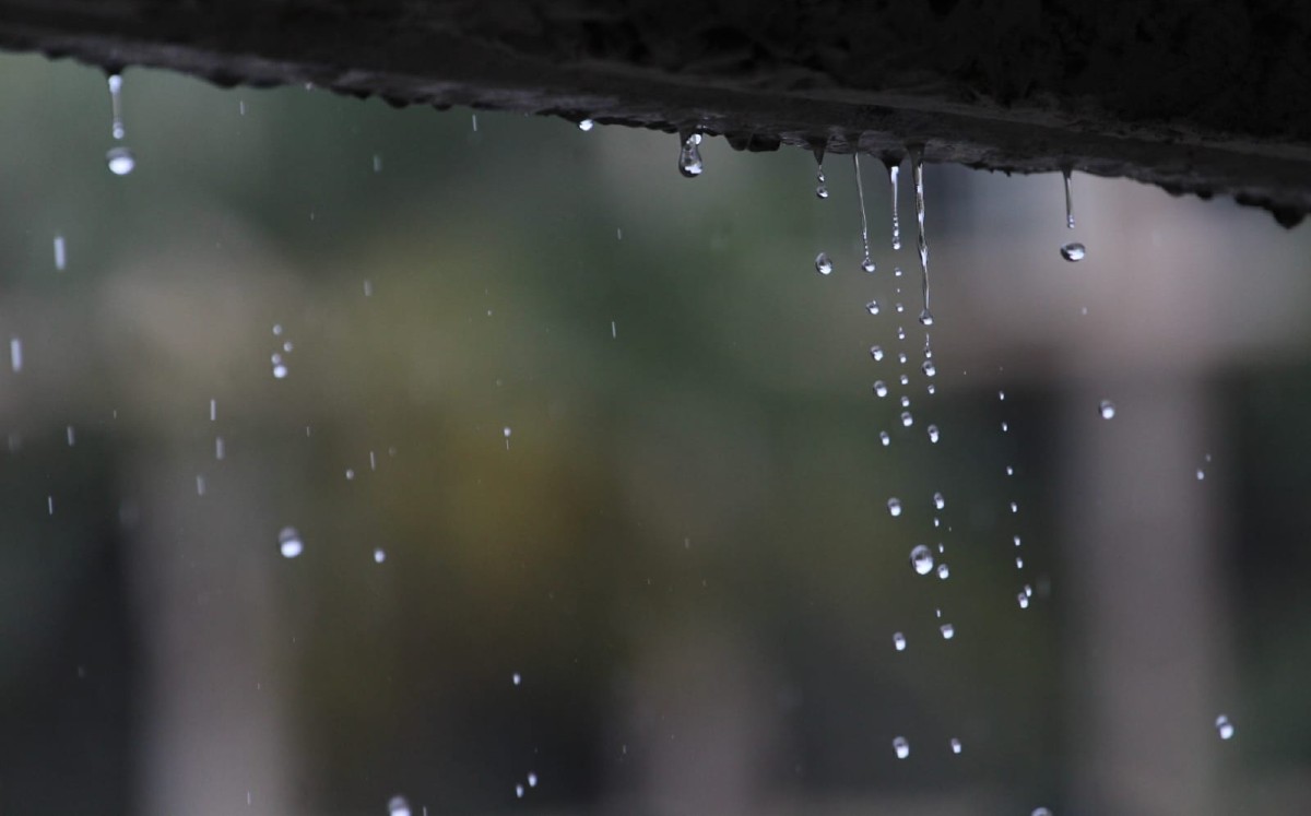 Pronóstico del tiempo en Tamaulipas para este jueves 11 de junio del 2026. | Foto: Sergio Sánchez