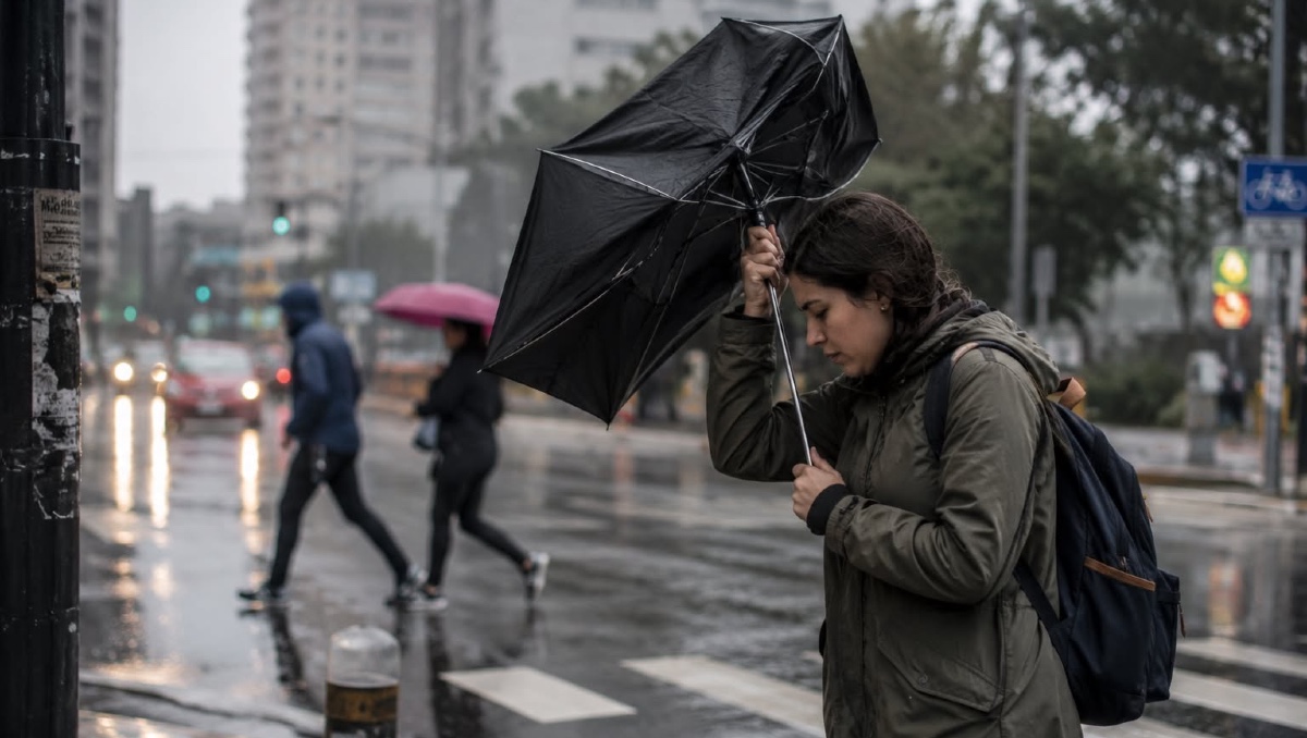 Cómo protegerte de los vientos fuertes, según Protección Civil | IA DISCOVER