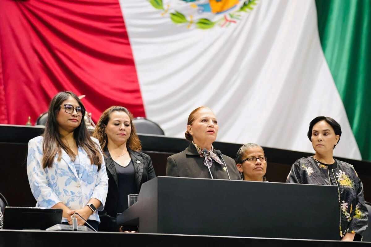 Erick Zertuche López es hijo de la diputada federal por Morena, Rocío López Gorosave. | Foto: Especial