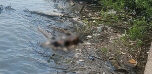 Encuentran cadáver en avanzado estado de descomposición en el río Pánuco. | Cortesía
