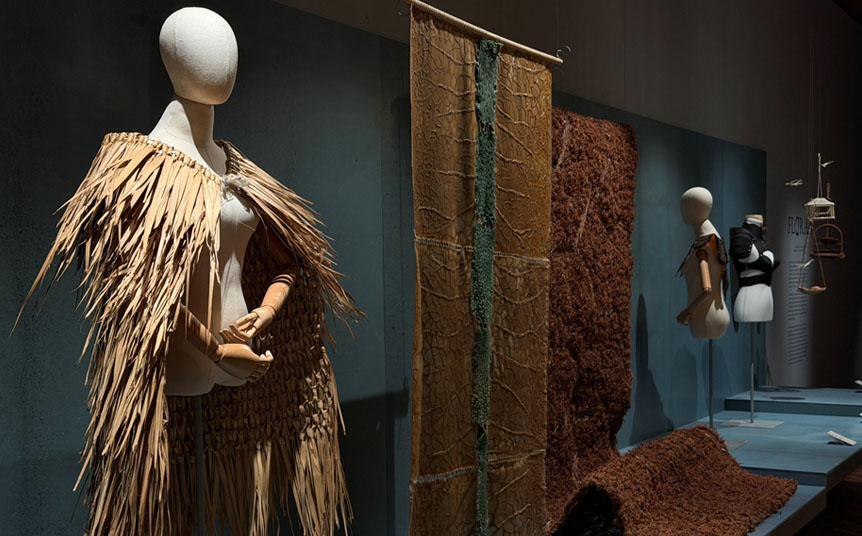La exposición se articulada en 5 núcleos: Flora, Fauna, Microbia, Funga y Bioinspiración (Foto: Cortesía)