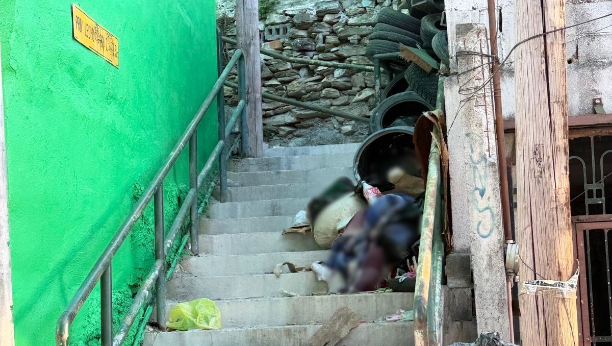 El hallazgo se registró en la colonia Sierra Ventana. | Mayte Villasana